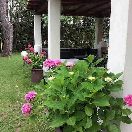 Mimi Forte dei Marmi